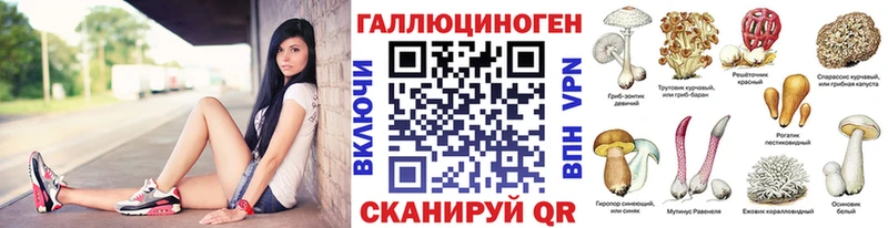 Купить где  Бор  Псилоцибиновые грибы Cubensis 